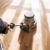 4 benefits of sanding wooden floors, plus hiring floor sanding specialists