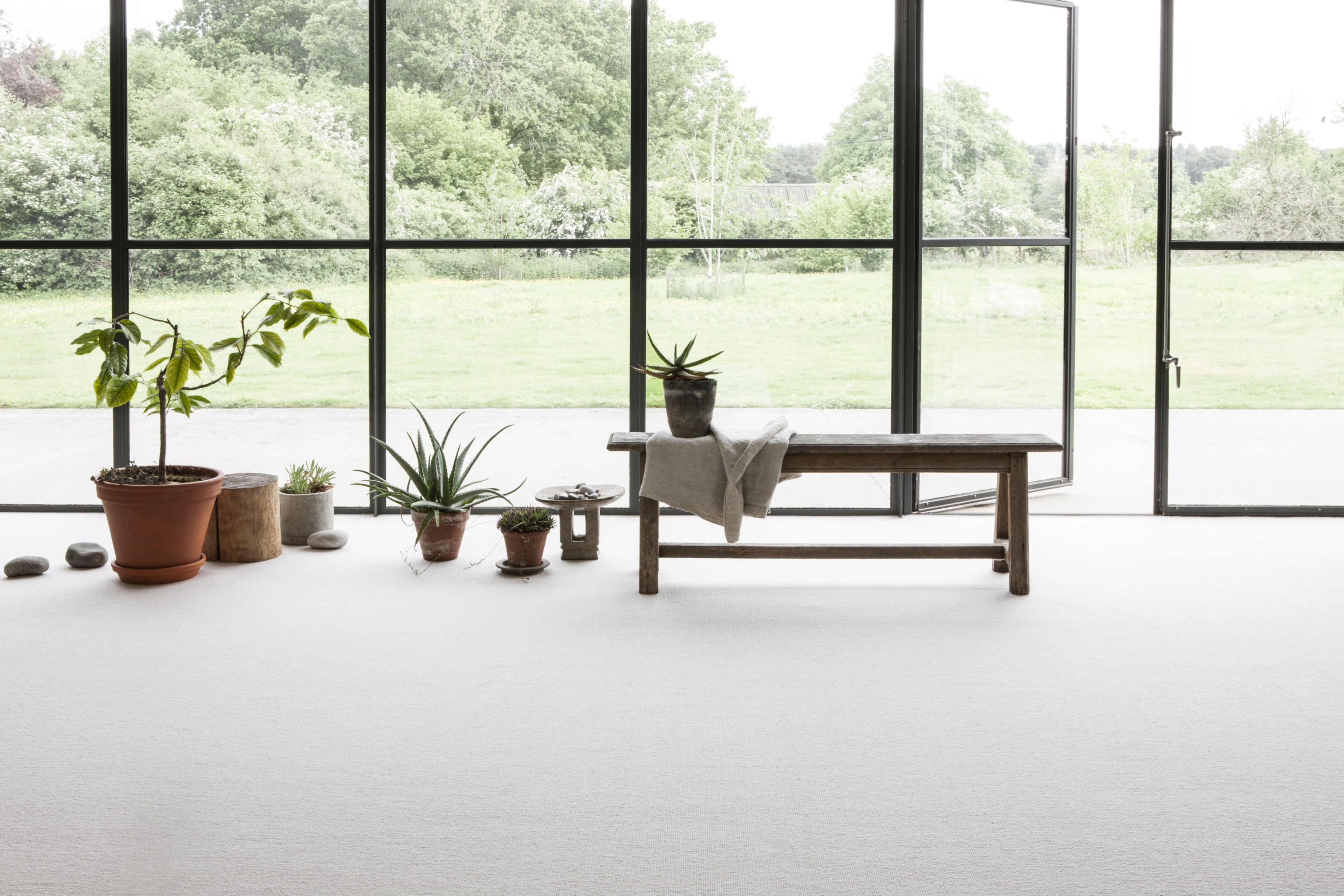 5 benefits of wool carpets News The Flooring Co