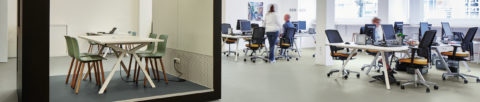 Lino flooring in office