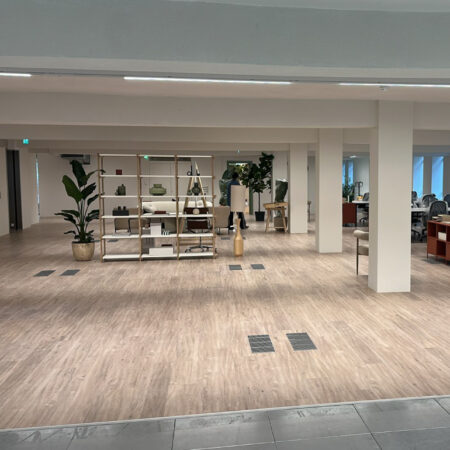 Completed open-plan office with wood-effect flooring, white columns and shelving with plants and furniture.