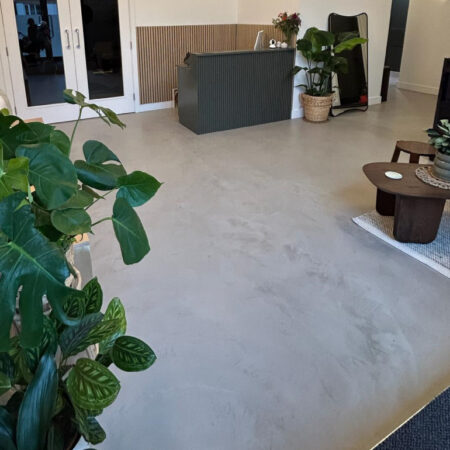 Open lobby with reception desk and planting on smooth grey microtopping floor