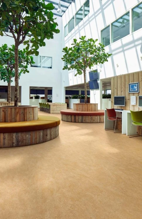 Library foyer with seating and trees